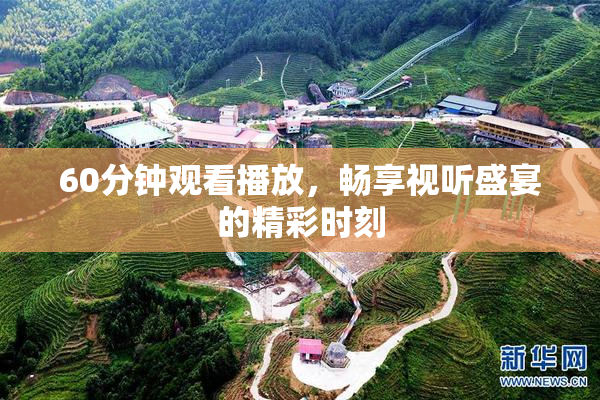 60分钟观看播放，畅享视听盛宴的精彩时刻