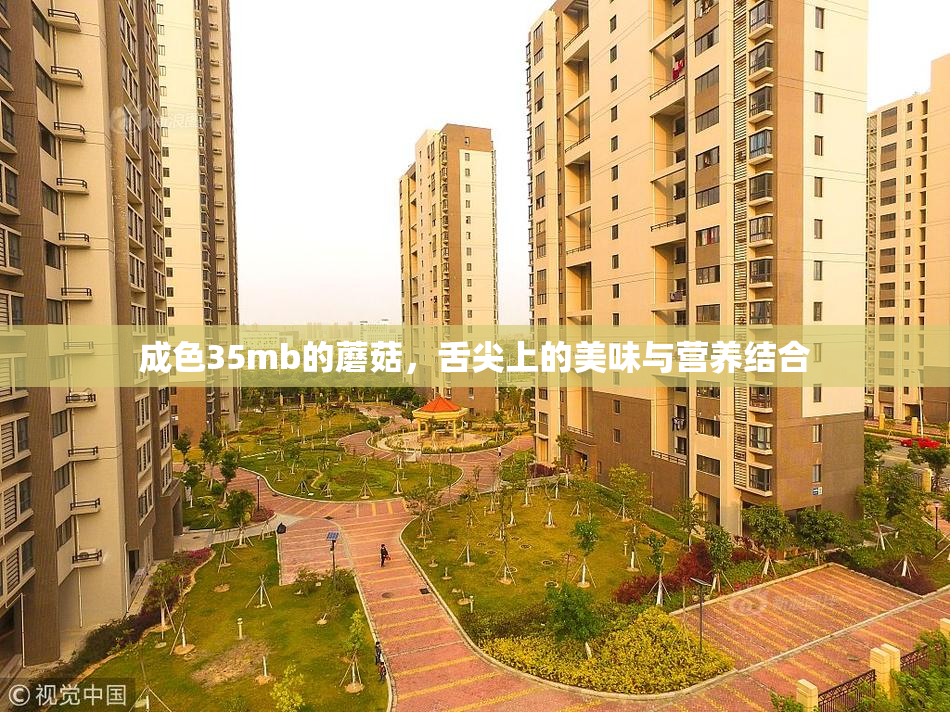 成色35mb的蘑菇，舌尖上的美味与营养结合