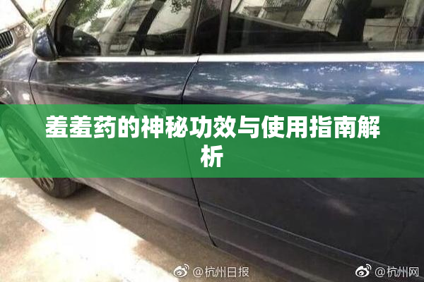 羞羞药的神秘功效与使用指南解析