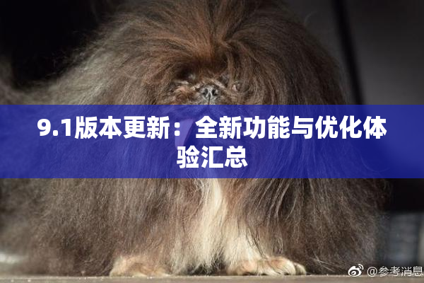 9.1版本更新：全新功能与优化体验汇总