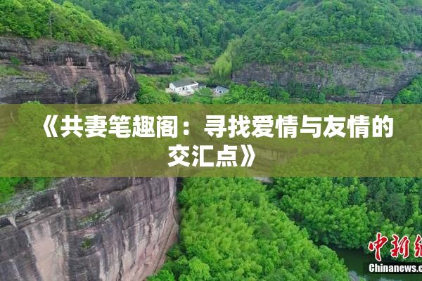 《共妻笔趣阁：寻找爱情与友情的交汇点》