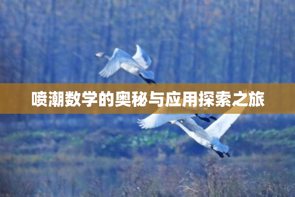 喷潮数学的奥秘与应用探索之旅