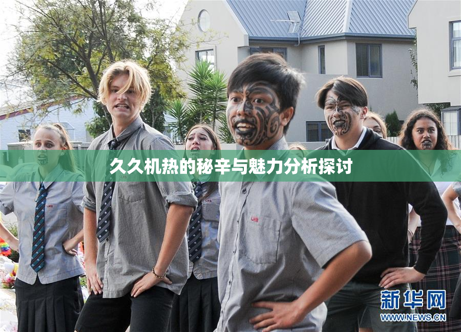 久久机热的秘辛与魅力分析探讨