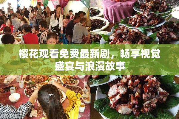 樱花观看免费最新剧，畅享视觉盛宴与浪漫故事