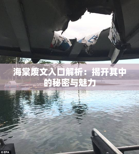 海棠废文入口解析：揭开其中的秘密与魅力