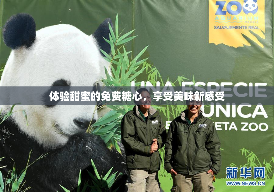 体验甜蜜的免费糖心，享受美味新感受