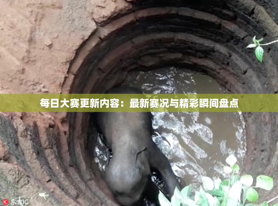 每日大赛更新内容：最新赛况与精彩瞬间盘点