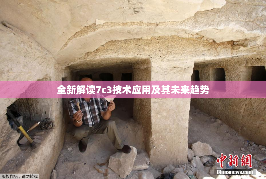 全新解读7c3技术应用及其未来趋势