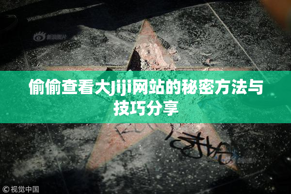 偷偷查看大Jiji网站的秘密方法与技巧分享