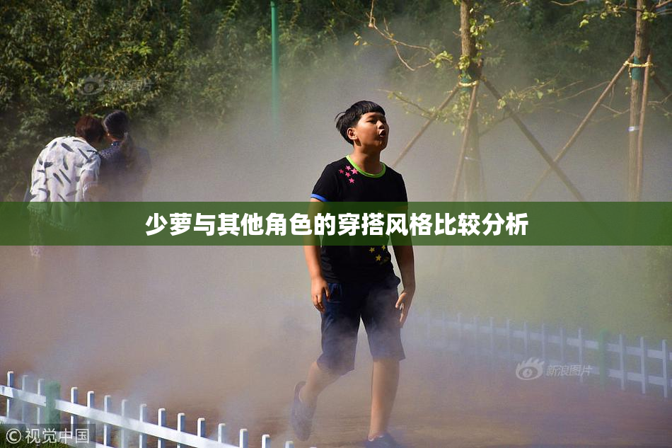 少萝与其他角色的穿搭风格比较分析