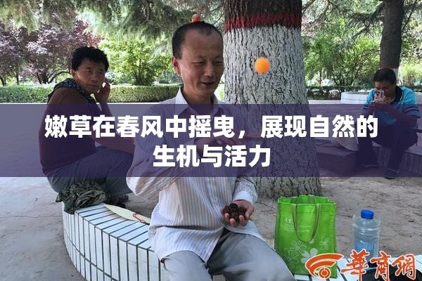 嫩草在春风中摇曳，展现自然的生机与活力