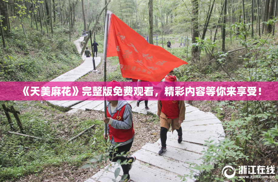 《天美麻花》完整版免费观看，精彩内容等你来享受！