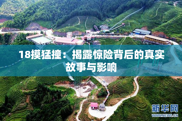 18摸猛撞：揭露惊险背后的真实故事与影响