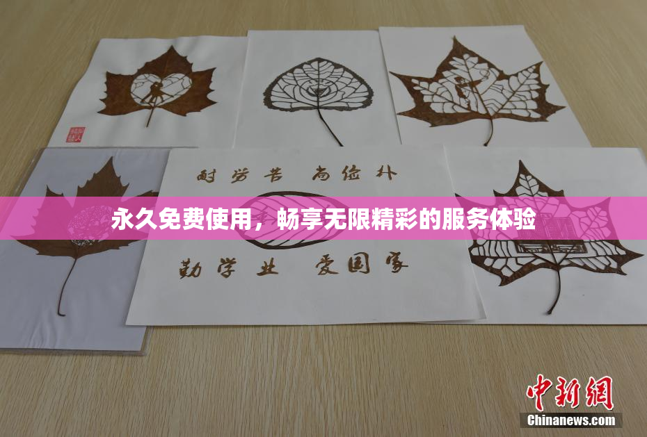 永久免费使用，畅享无限精彩的服务体验