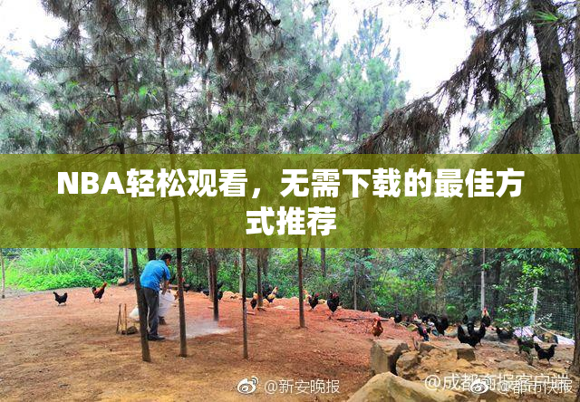 NBA轻松观看，无需下载的最佳方式推荐