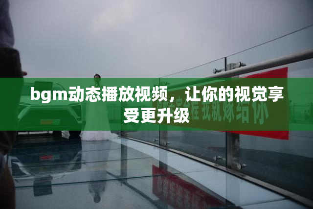 bgm动态播放视频，让你的视觉享受更升级