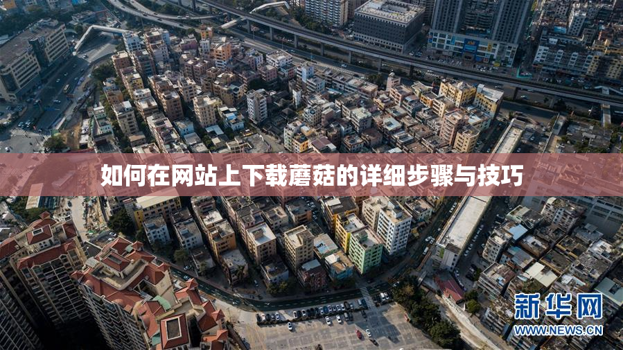 如何在网站上下载蘑菇的详细步骤与技巧