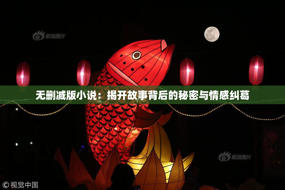 无删减版小说：揭开故事背后的秘密与情感纠葛