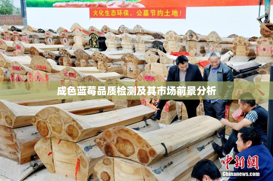 成色蓝莓品质检测及其市场前景分析