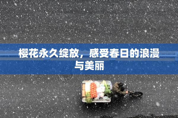 樱花永久绽放，感受春日的浪漫与美丽