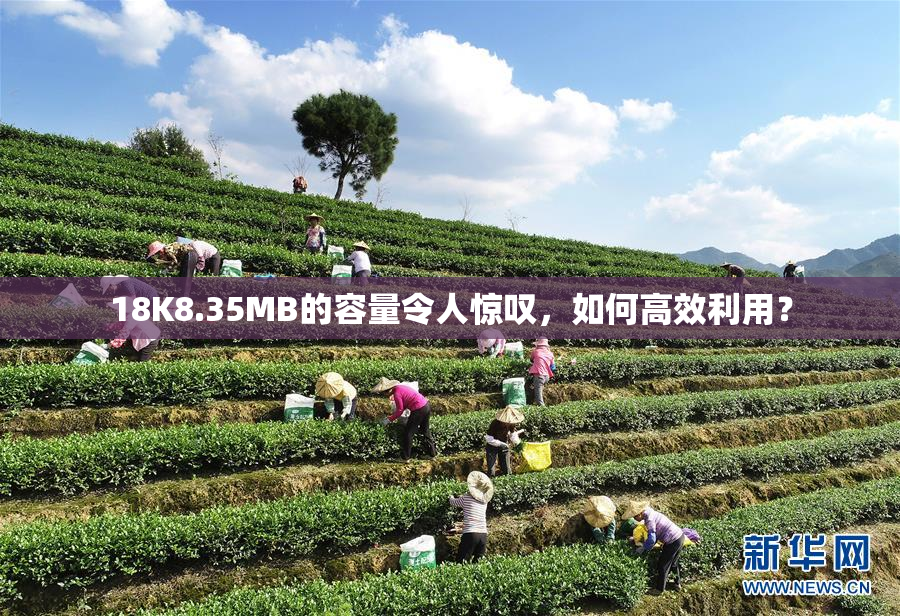 18K8.35MB的容量令人惊叹，如何高效利用？