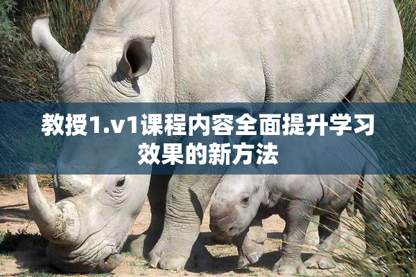 教授1.v1课程内容全面提升学习效果的新方法