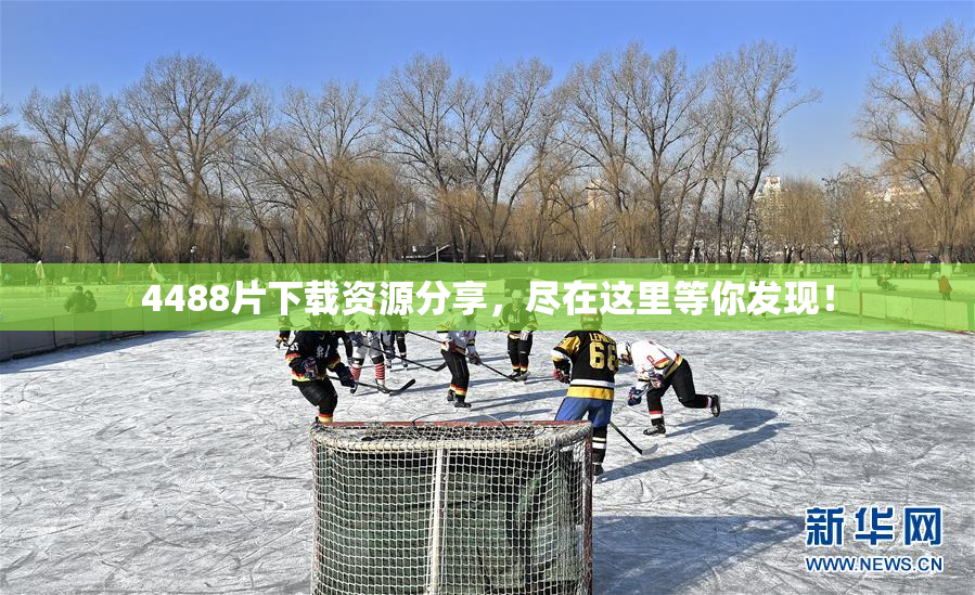 4488片下载资源分享，尽在这里等你发现！