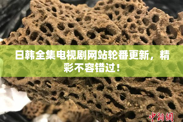 日韩全集电视剧网站轮番更新，精彩不容错过！