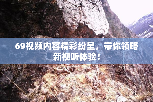 69视频内容精彩纷呈，带你领略新视听体验！