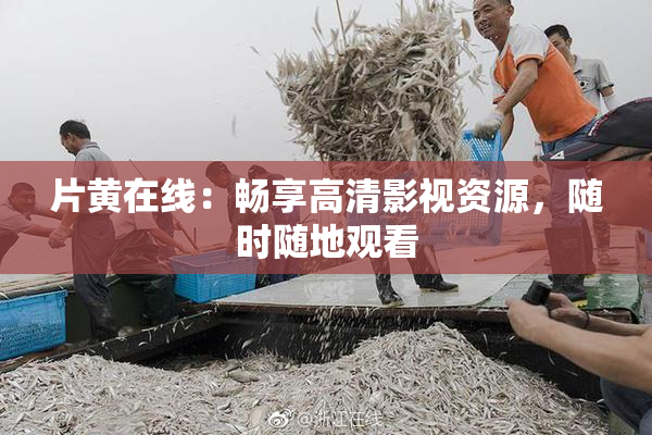 片黄在线：畅享高清影视资源，随时随地观看