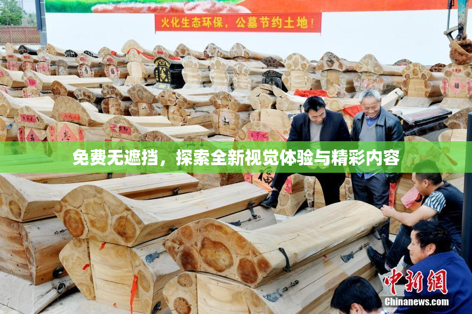 免费无遮挡，探索全新视觉体验与精彩内容