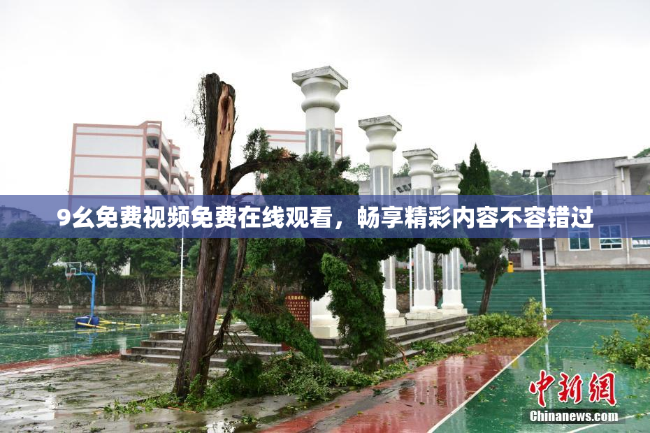 9幺免费视频免费在线观看，畅享精彩内容不容错过
