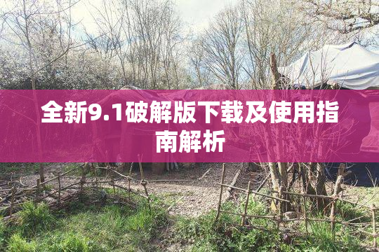 全新9.1破解版下载及使用指南解析