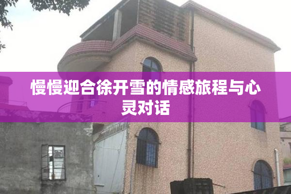 慢慢迎合徐开雪的情感旅程与心灵对话