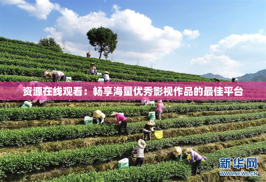 资源在线观看：畅享海量优秀影视作品的最佳平台