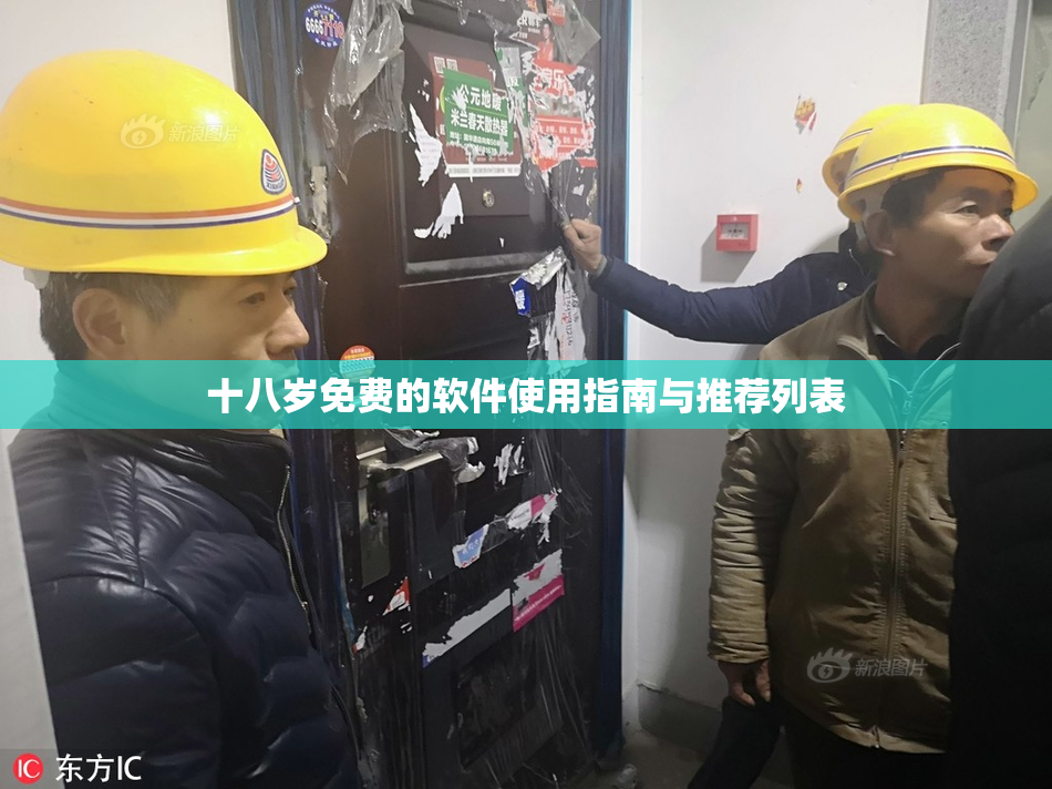十八岁免费的软件使用指南与推荐列表
