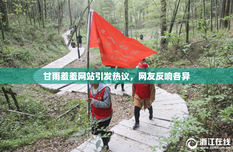 甘雨羞羞网站引发热议，网友反响各异