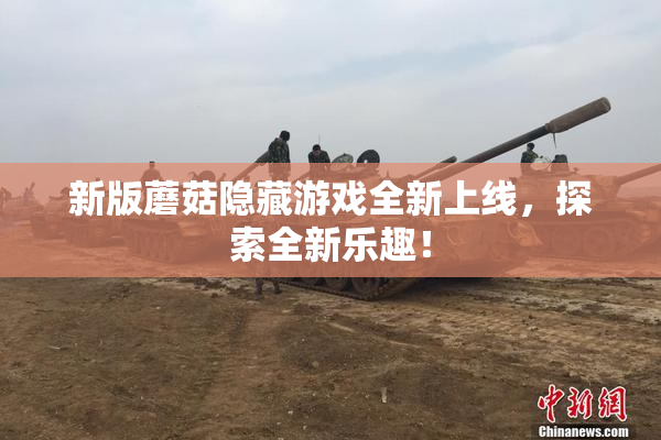 新版蘑菇隐藏游戏全新上线，探索全新乐趣！