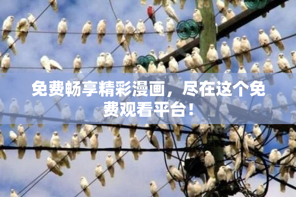 免费畅享精彩漫画，尽在这个免费观看平台！