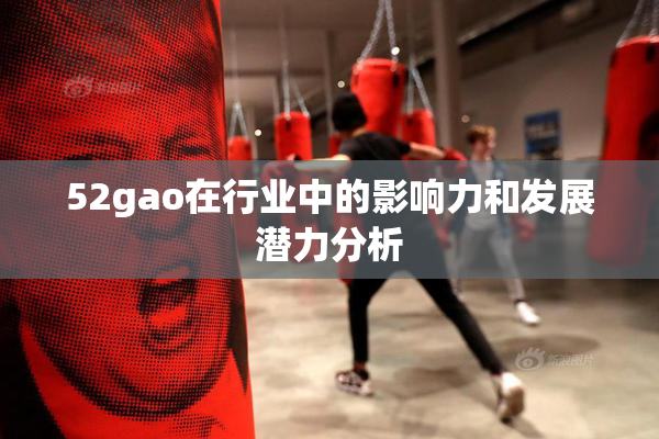 52gao在行业中的影响力和发展潜力分析