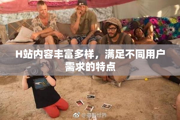 H站内容丰富多样，满足不同用户需求的特点