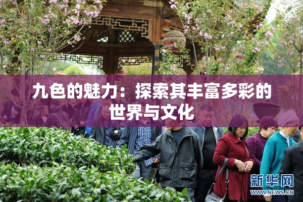九色的魅力：探索其丰富多彩的世界与文化