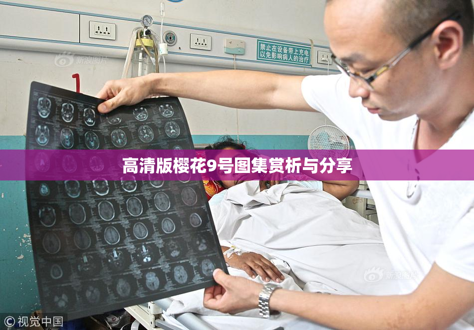 高清版樱花9号图集赏析与分享