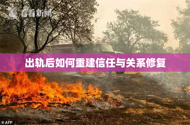 出轨后如何重建信任与关系修复