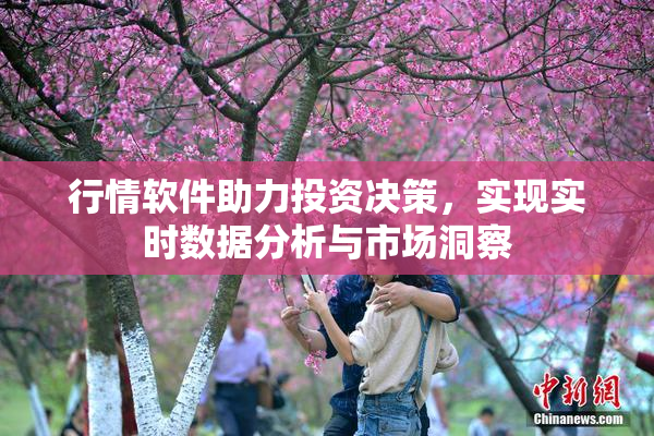 行情软件助力投资决策，实现实时数据分析与市场洞察
