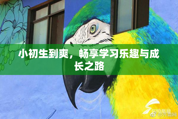小初生到爽，畅享学习乐趣与成长之路