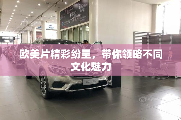 欧美片精彩纷呈，带你领略不同文化魅力