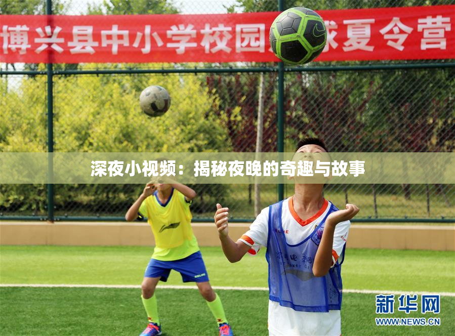 深夜小视频：揭秘夜晚的奇趣与故事