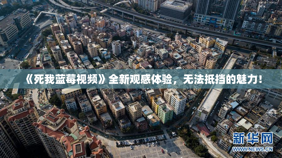 《死我蓝莓视频》全新观感体验，无法抵挡的魅力！