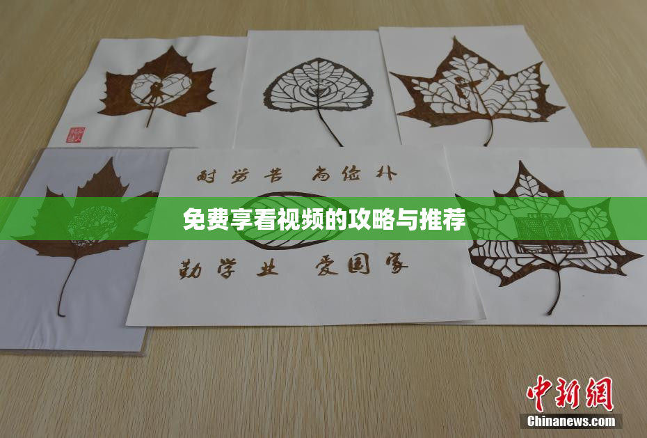 免费享看视频的攻略与推荐